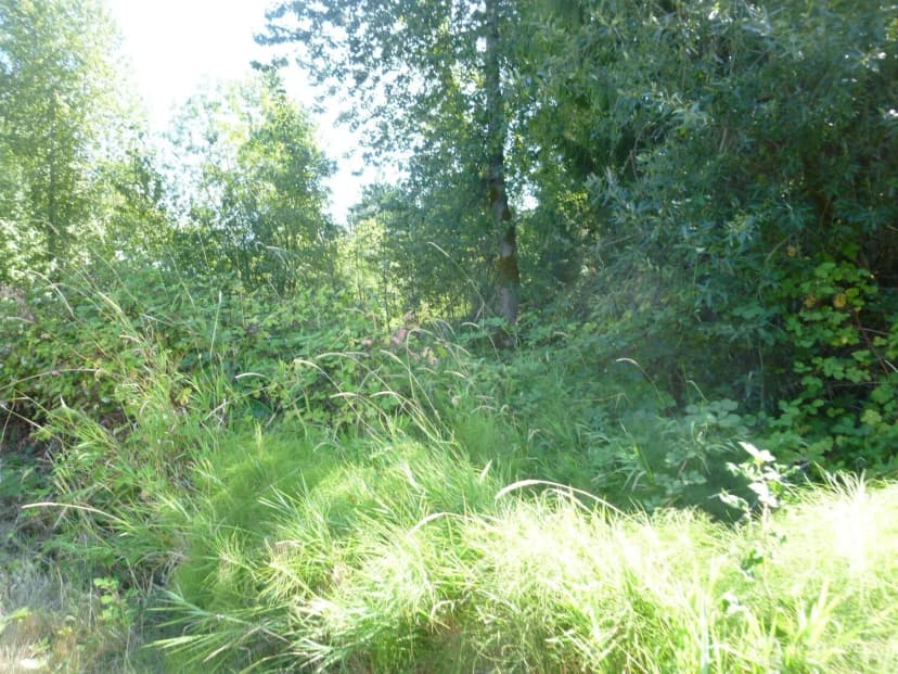 Property photo for 0 Larch Way, Lynnwood photo 7