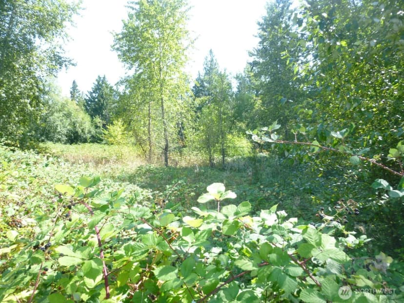 Property photo for 0 Larch Way, Lynnwood photo 9