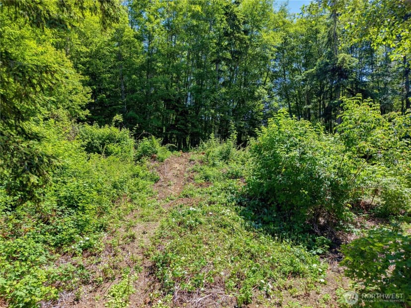 Property photo for 0 Tinker, Hansville photo 6