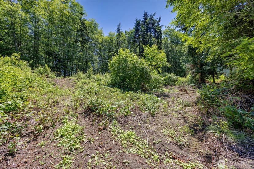 Property photo for 0 Tinker, Hansville photo 13