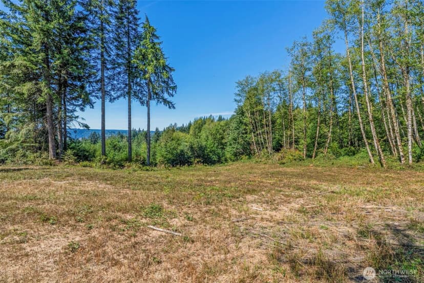 Property photo for 0 Old Tree Farm Drive #c, Longview photo 8