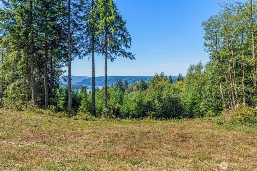 Property photo for 0 Old Tree Farm Drive #c, Longview photo 13