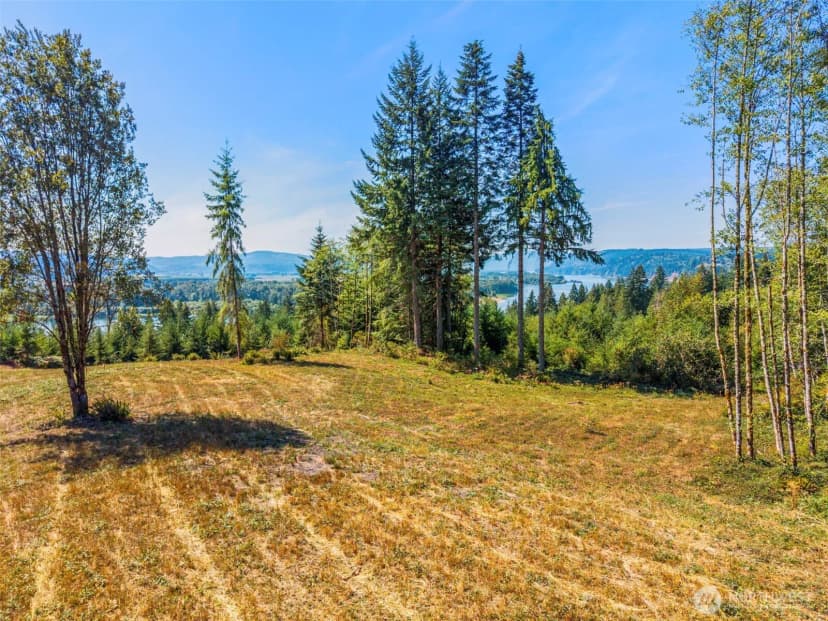 Property photo for 0 Old Tree Farm Drive #c, Longview photo 2
