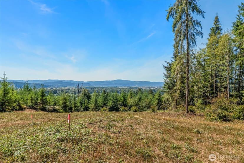 Property photo for 0 Old Tree Farm Drive #c, Longview photo 9