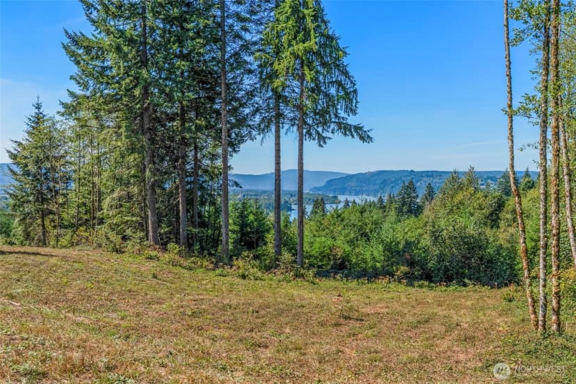 Property photo for 0 Old Tree Farm Drive #c, Longview photo 14