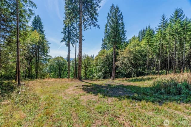 Property photo for 0 Old Tree Farm Drive #c, Longview photo 3