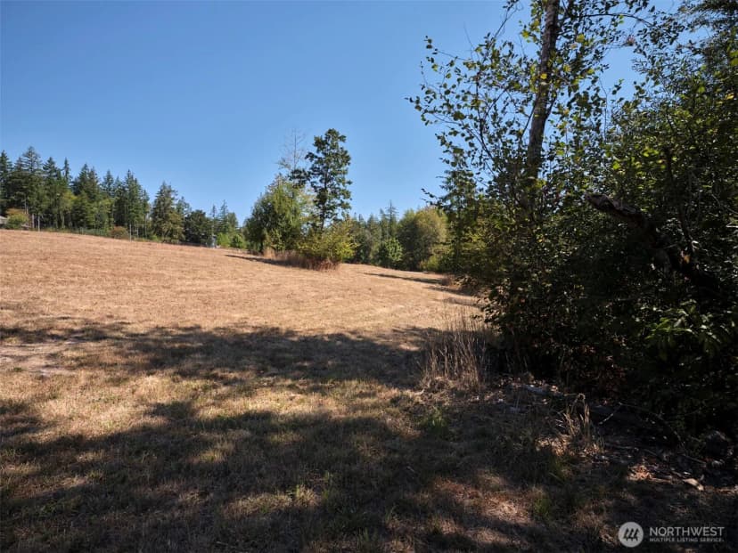 Property photo for 0 Ne Lucia Falls Road, Battle Ground photo 15
