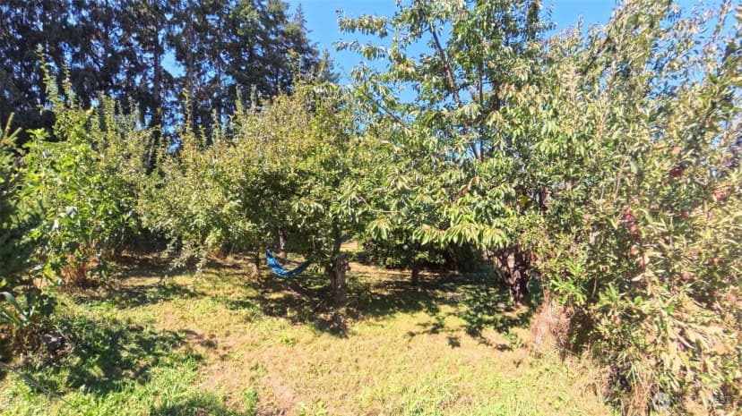 Property photo for 378 Farm Road, Sequim photo 22