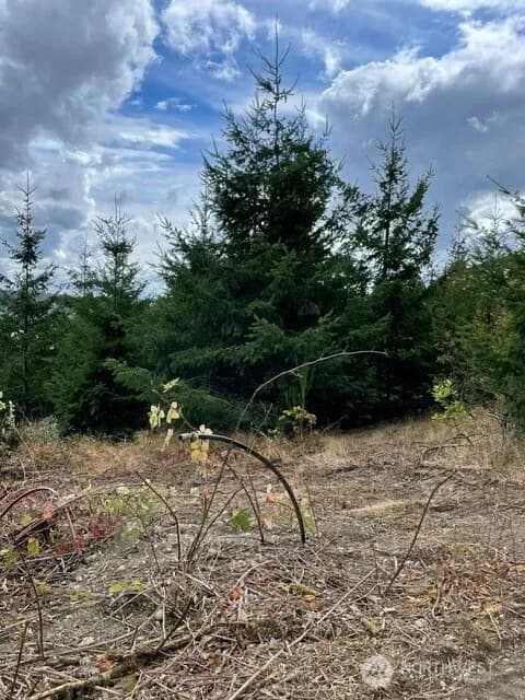 Property photo for 1653 &1657&1649&1645 Sound Ridge Drive, Bremerton photo 15