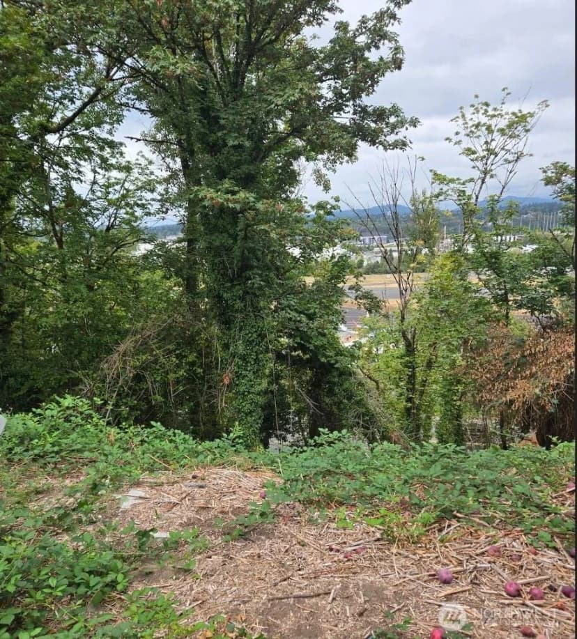 Property photo for 725 Rainier Avenue N, Renton photo 7