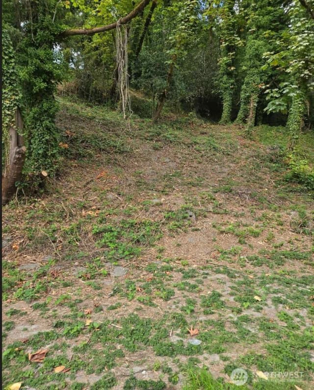Property photo for 725 Rainier Avenue N, Renton photo 5