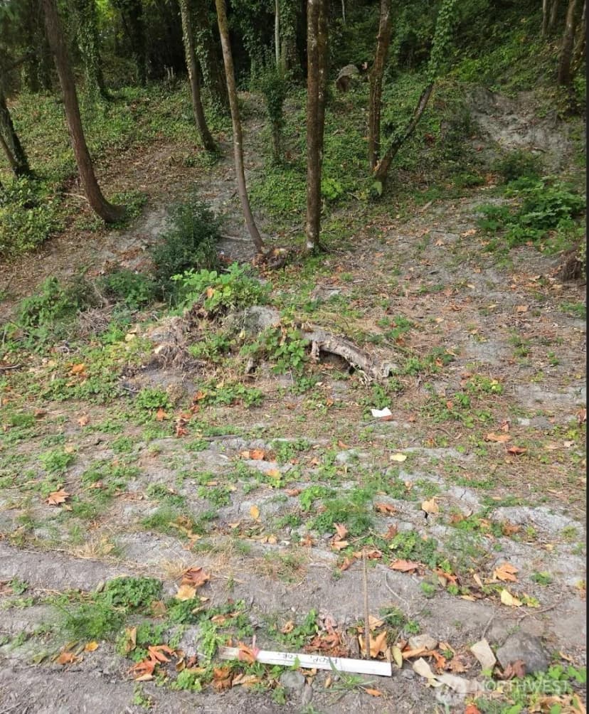 Property photo for 725 Rainier Avenue N, Renton photo 3
