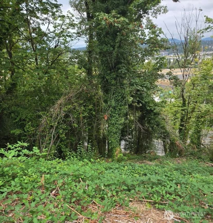 Property photo for 725 Rainier Avenue N, Renton photo 6