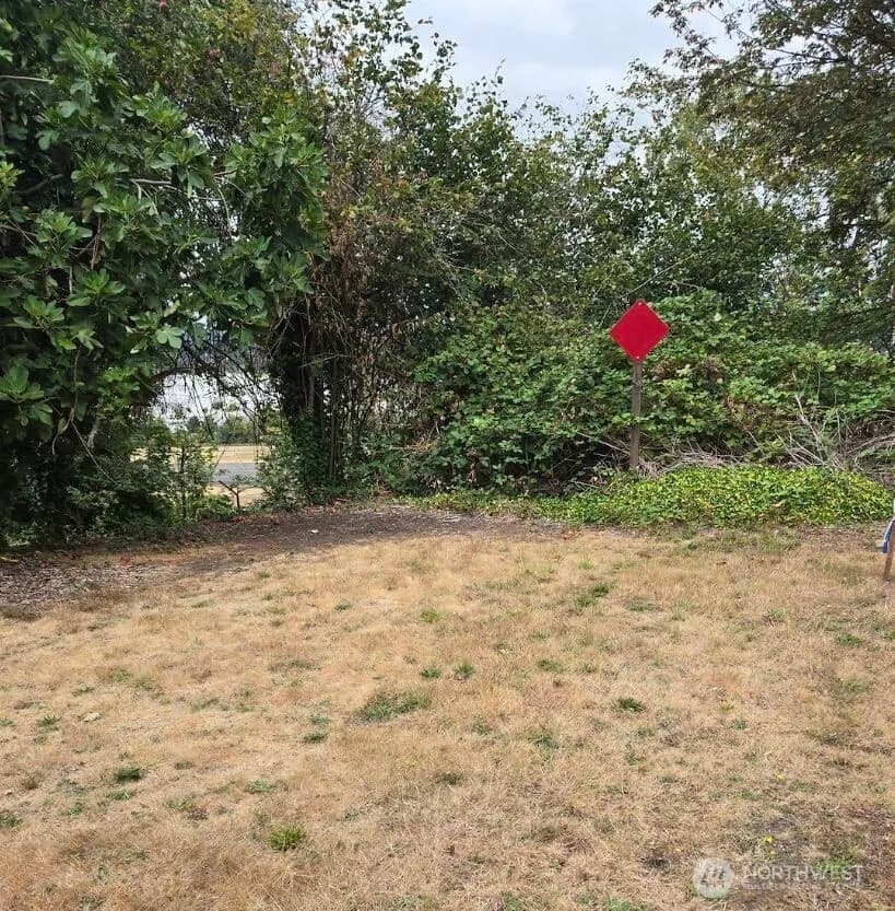 Property photo for 721 Rainier Avenue N, Seattle photo 6