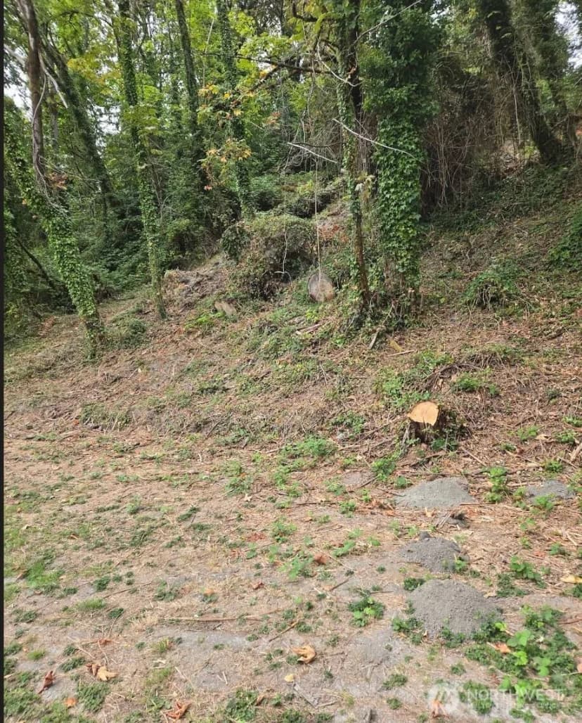 Property photo for 7 Xx Rainier Avenue N, Renton photo 8