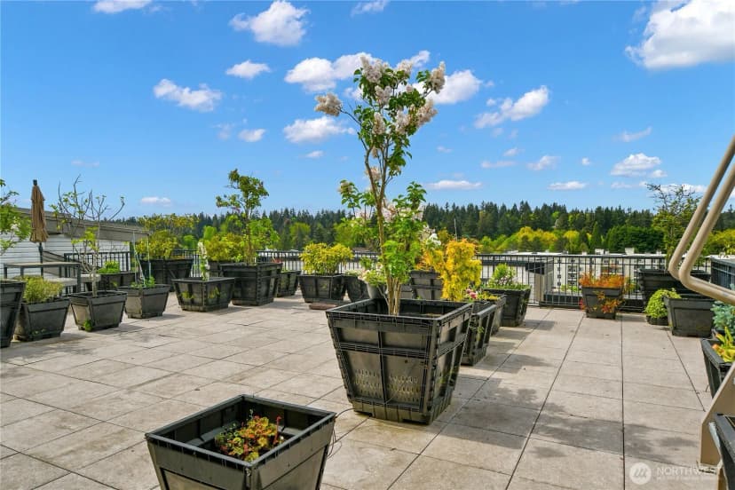 Property photo for 12334 31st Avenue Ne #607, Seattle photo 8