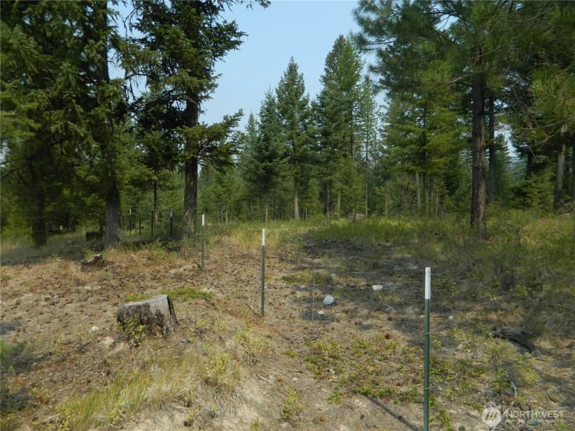 Property photo for 96 Horn Ranch Road, Tonasket photo 28