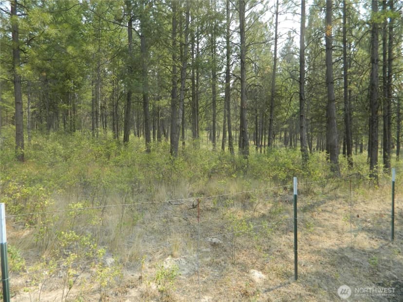 Property photo for 96 Horn Ranch Road, Tonasket photo 27