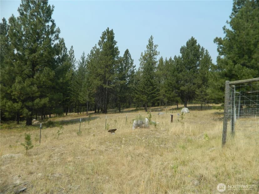 Property photo for 96 Horn Ranch Road, Tonasket photo 30