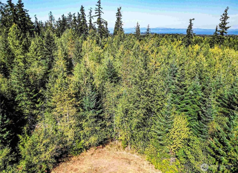 Property photo for 0 Lot 4 Colville Road, Port Angeles photo 18