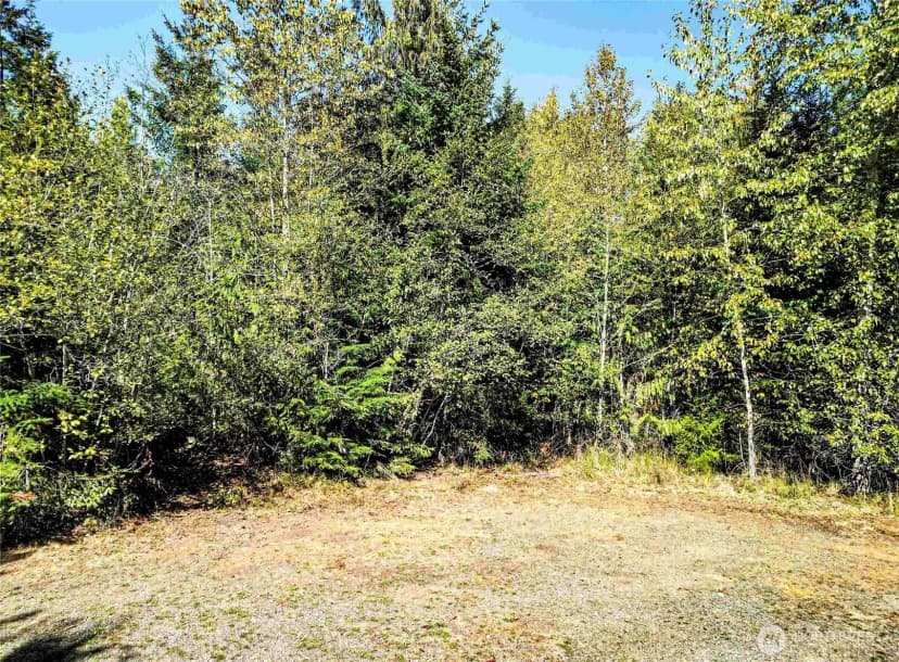 Property photo for 0 Lot 4 Colville Road, Port Angeles photo 16