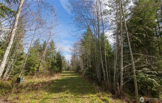 Property photo for 0 Lot 4 Colville Road, Port Angeles photo 5