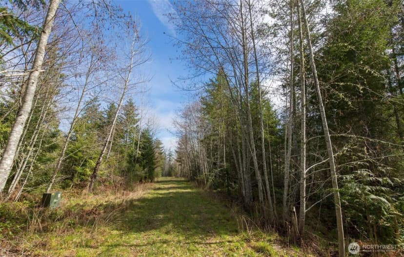 Property photo for 0 Lot 4 Colville Road, Port Angeles photo 5
