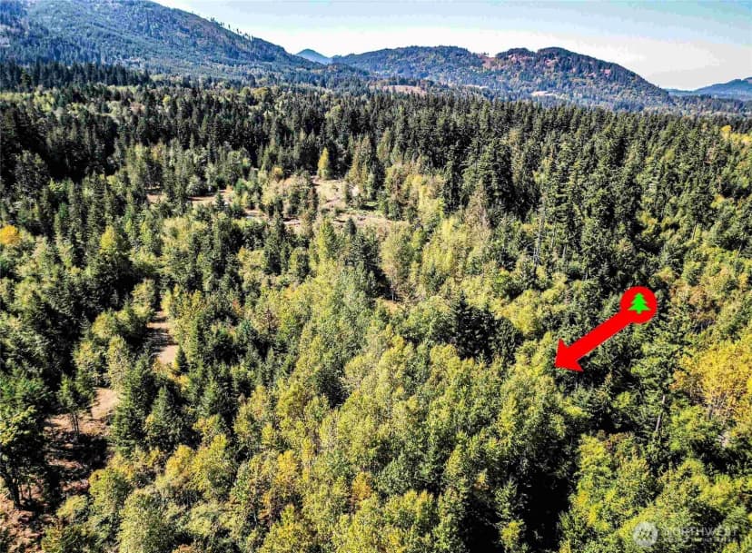 Property photo for 0 Lot 4 Colville Road, Port Angeles photo 21