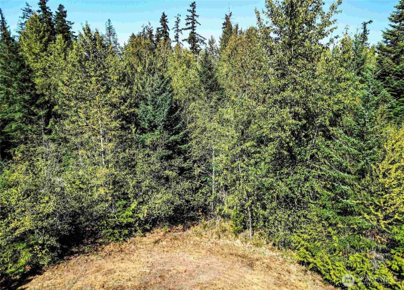 Property photo for 0 Lot 4 Colville Road, Port Angeles photo 17