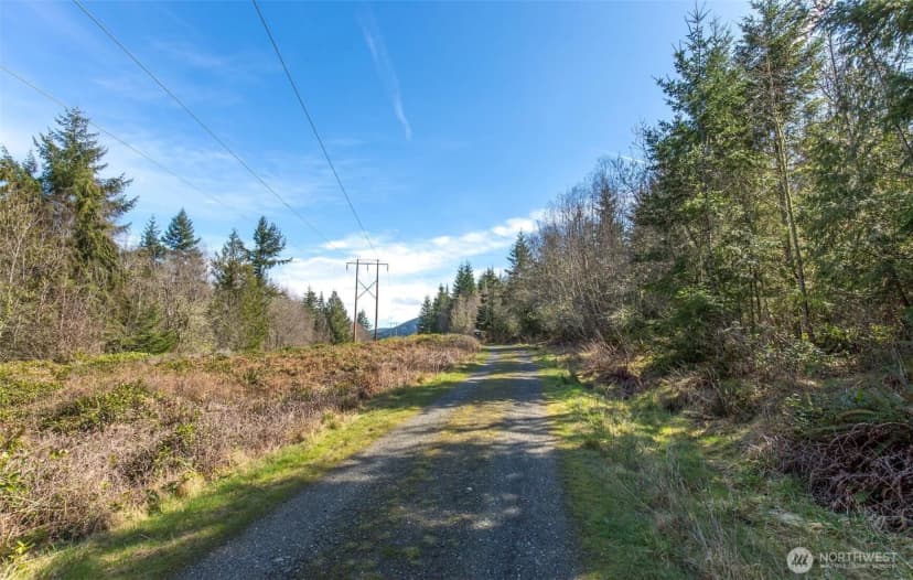 Property photo for 0 Lot 4 Colville Road, Port Angeles photo 36