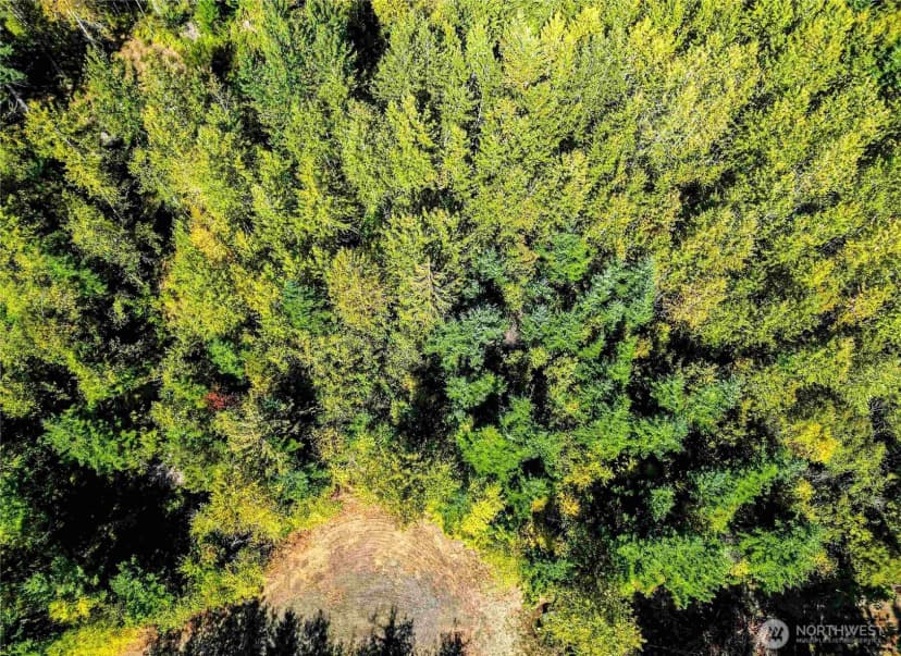 Property photo for 0 Lot 4 Colville Road, Port Angeles photo 29