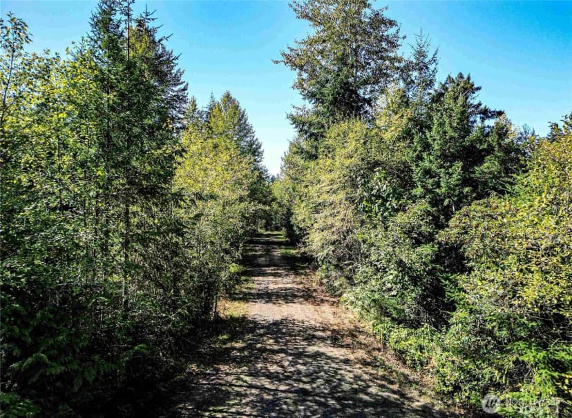 Property photo for 0 Lot 4 Colville Road, Port Angeles photo 15