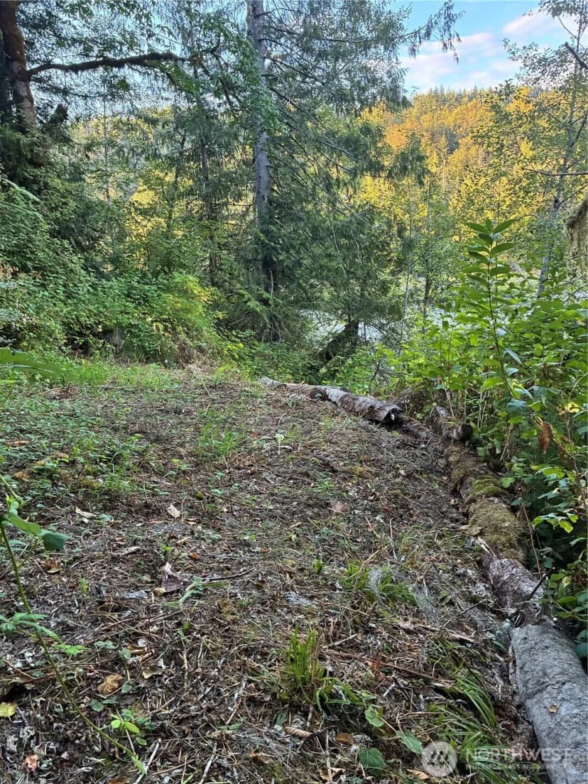 Property photo for 3 Mt. Index River Road, Gold Bar photo 3
