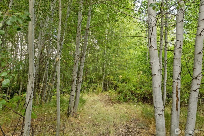Property photo for 330 Quail Valley Road, Cle Elum photo 17