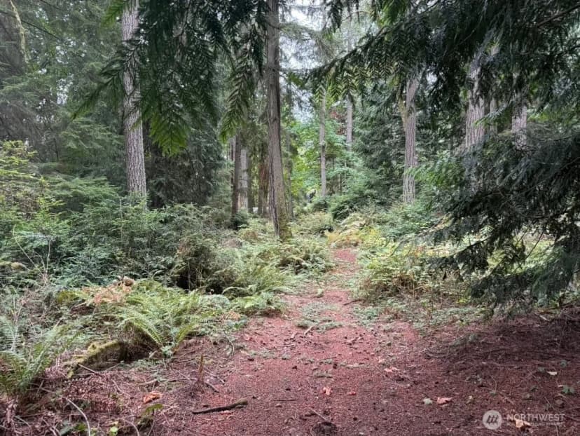 Property photo for 0 Albright Avenue Se, Port Orchard photo 6