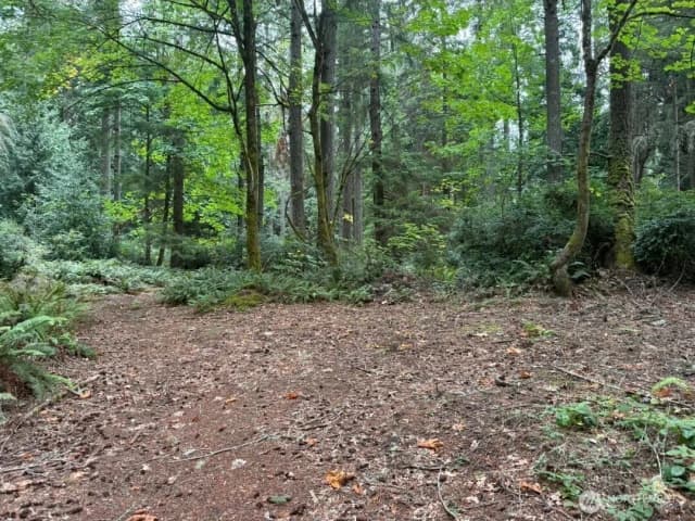 Property photo for 0 Albright Avenue Se, Port Orchard photo 4