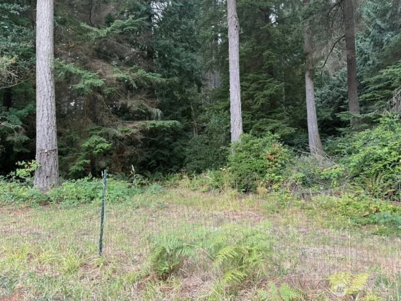 Property photo for 0 Albright Avenue Se, Port Orchard photo 11