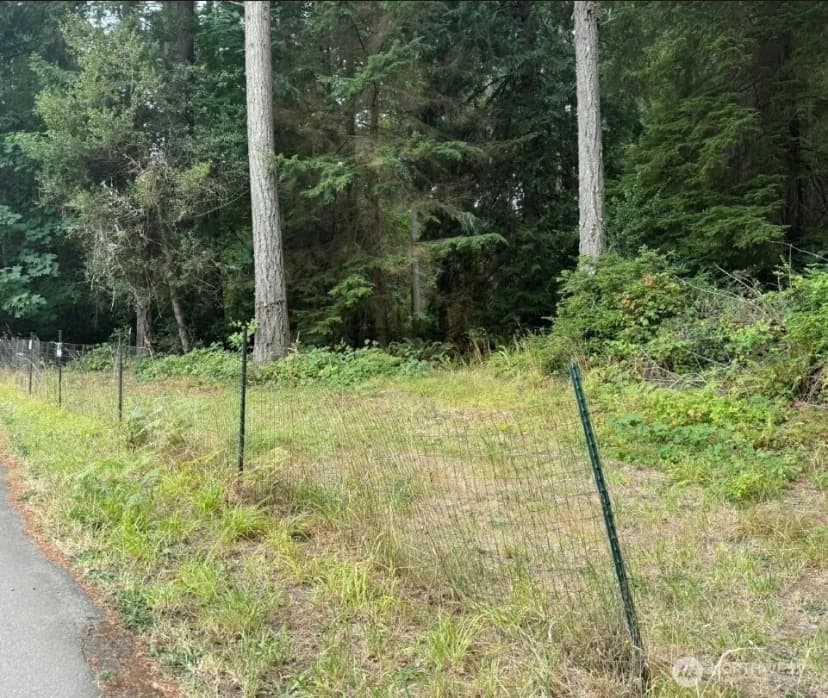 Property photo for 0 Albright Avenue Se, Port Orchard photo 10