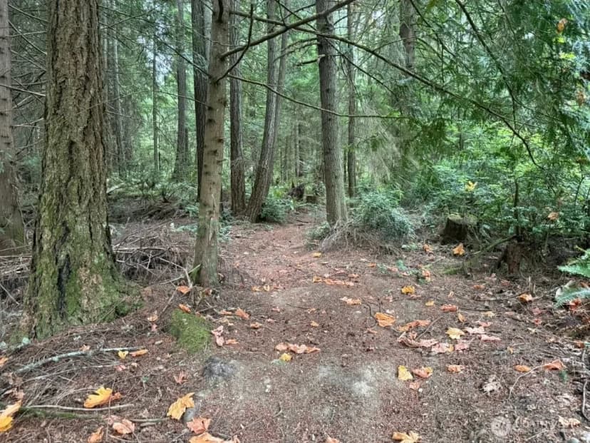 Property photo for 0 Albright Avenue Se, Port Orchard photo 8