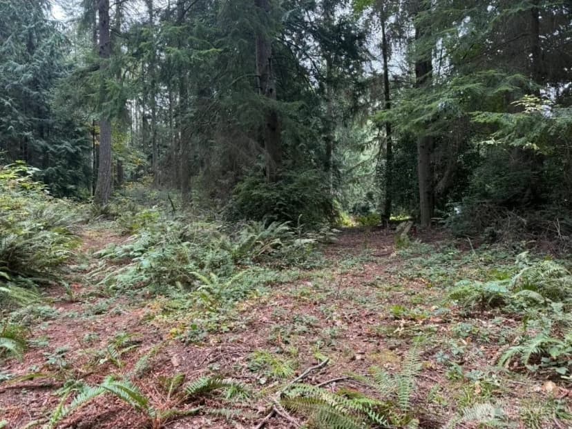 Property photo for 0 Albright Avenue Se, Port Orchard photo 9