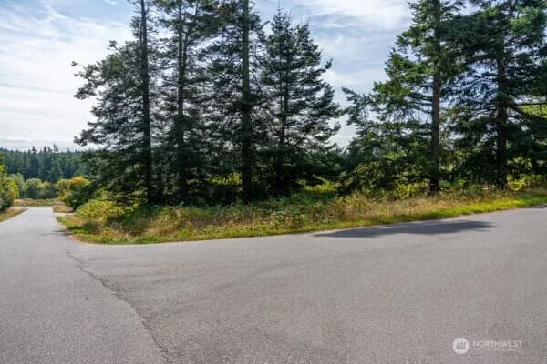 Property photo for 0 Xxx Lacana Street, Coupeville photo 4