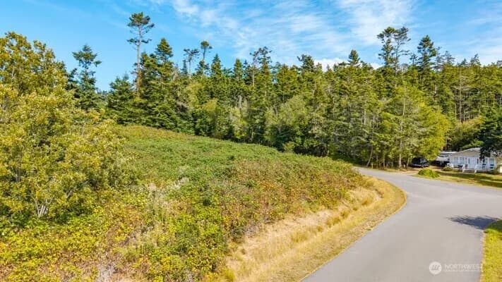 Property photo for 0 Xxx Lacana Street, Coupeville photo 3