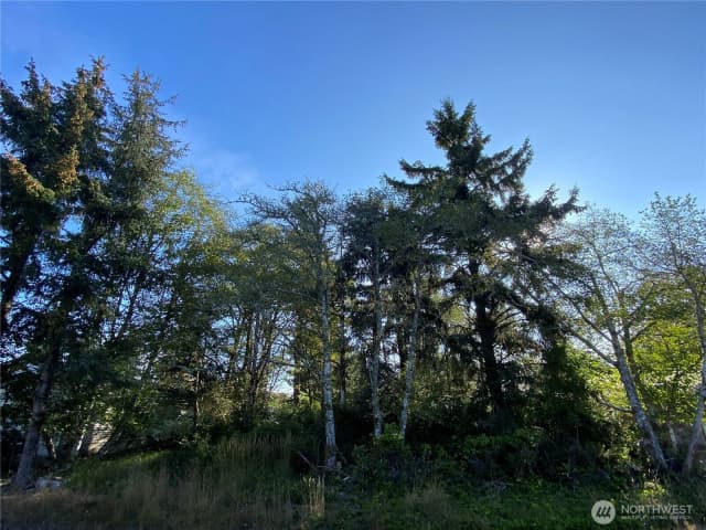 Property photo for 364 Duck Lake Drive Se, Ocean Shores photo 5