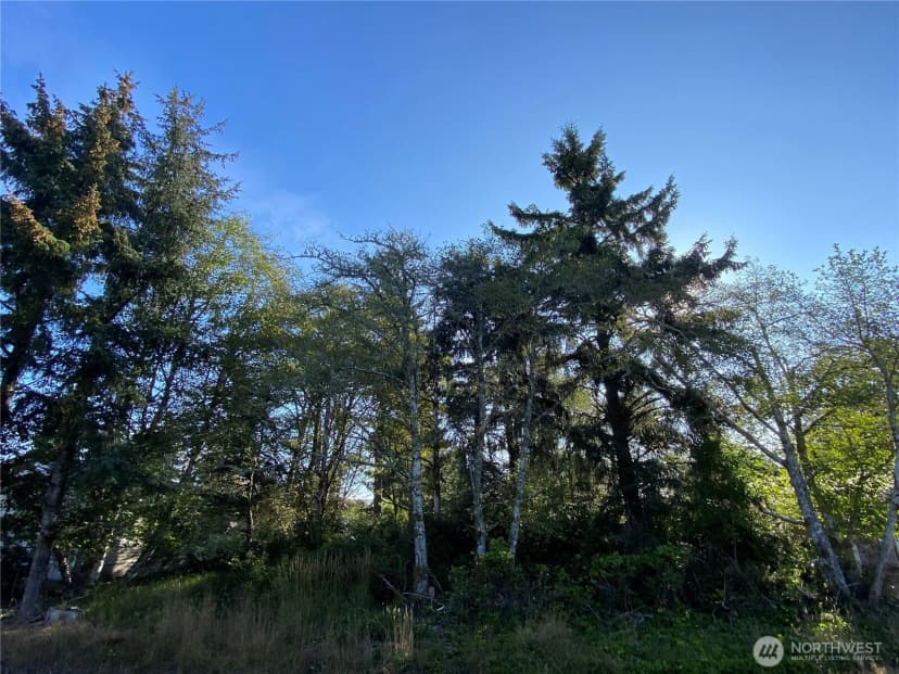 Property photo for 364 Duck Lake Drive Se, Ocean Shores photo 5