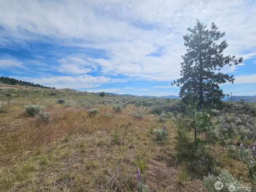 Property photo for 716 X Havillah Road, Tonasket photo 6