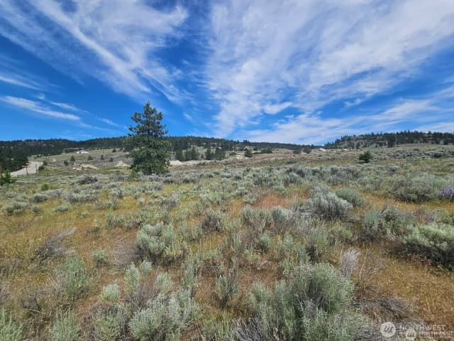 Property photo for 716 X Havillah Road, Tonasket photo 2