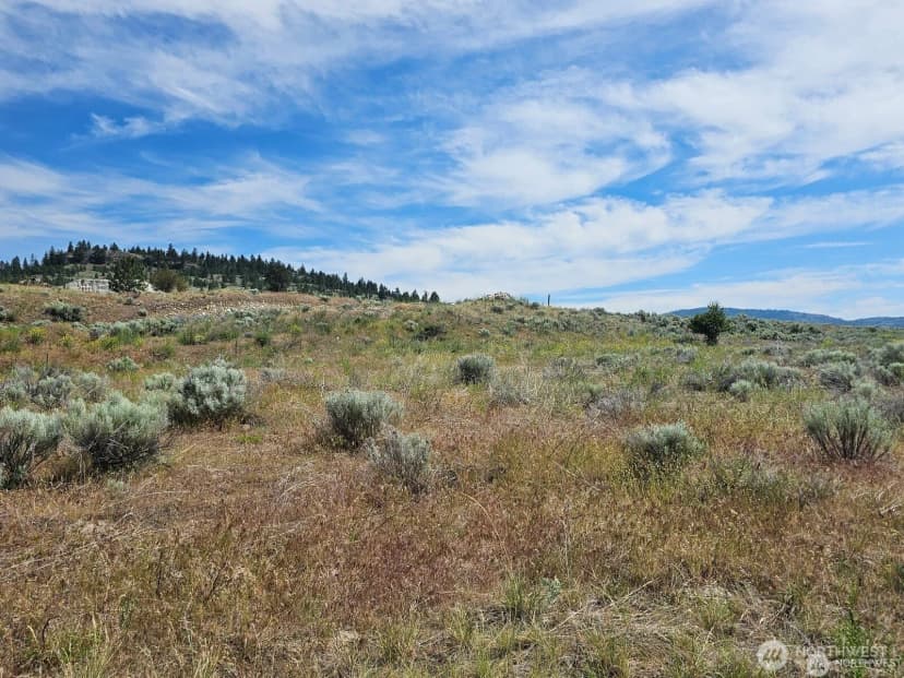 Property photo for 716 X Havillah Road, Tonasket photo 12