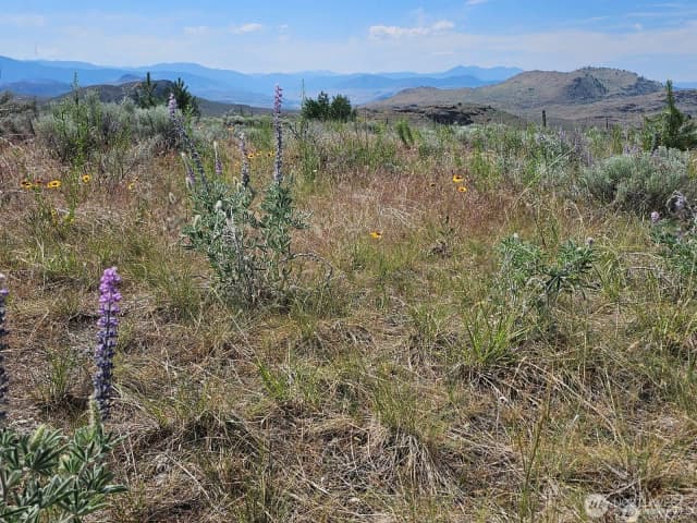 Property photo for 716 X Havillah Road, Tonasket photo 3