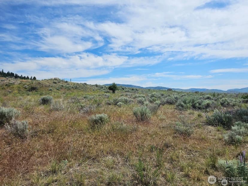 Property photo for 716 X Havillah Road, Tonasket photo 10