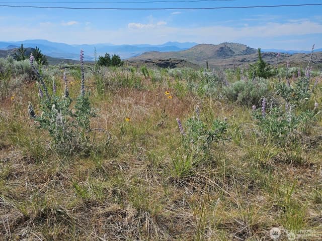 Property photo for 716 X Havillah Road, Tonasket